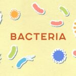 how do cells move the science of cell locomotion