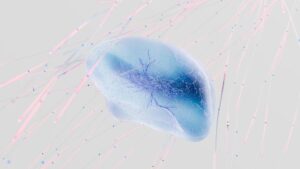 How Do Neurons Transmit Information To Each Other? 5 how do neurons transmit information to each other