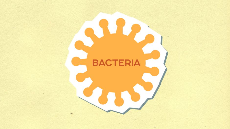 how do you get meningitis bacterial viral more