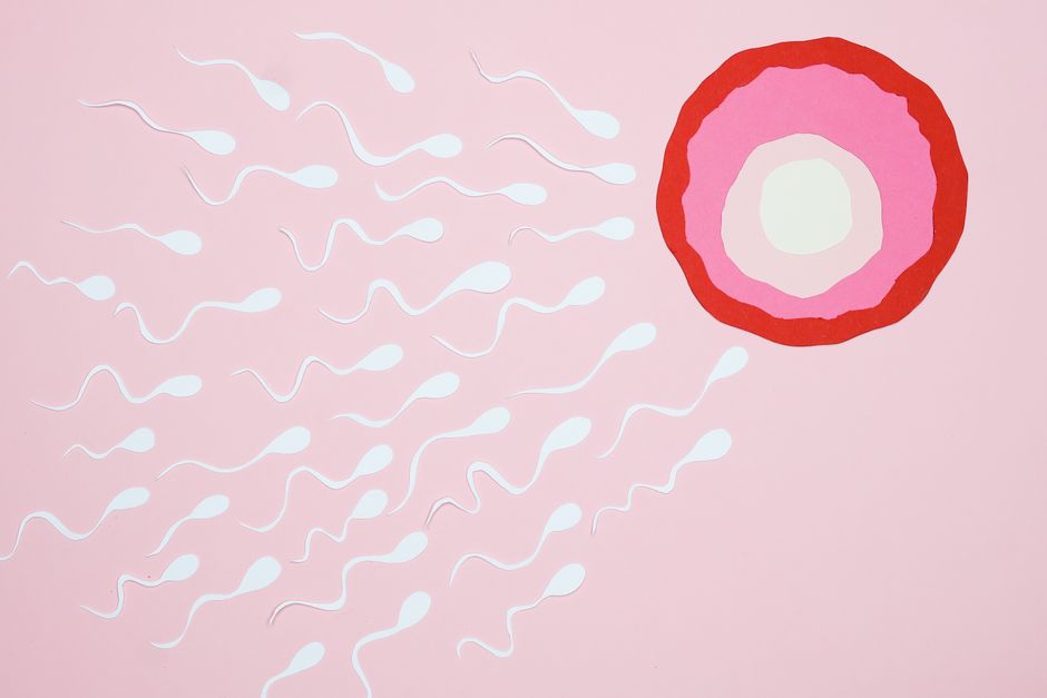 how do you increase sperm count what actually works