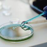 how doctors test for gut bacteria methods explained