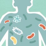 how does the cell membrane help maintain homeostasis