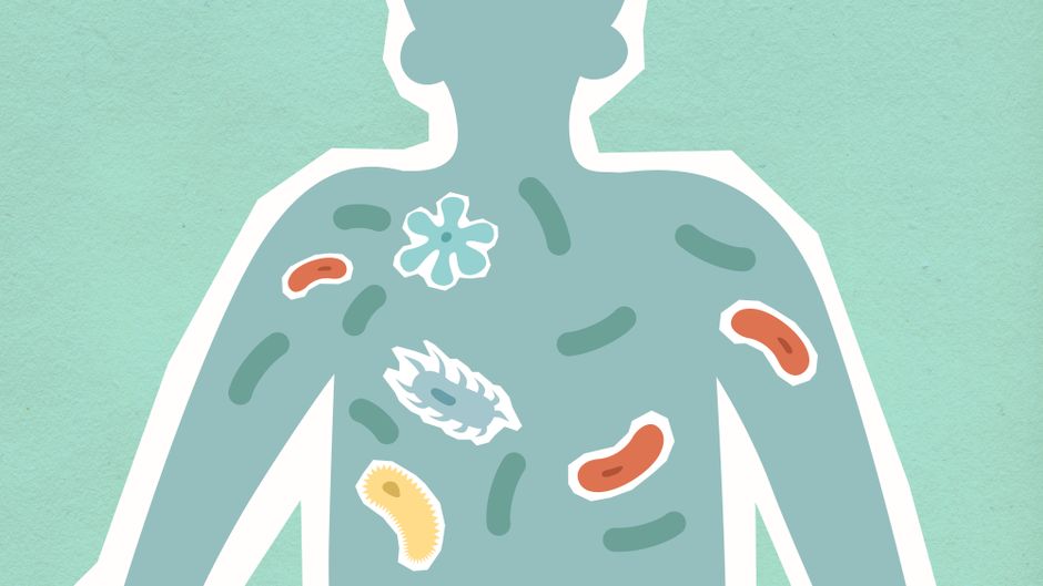 how does the cell membrane help maintain homeostasis