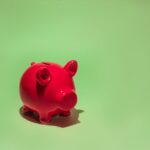how does the health savings account work