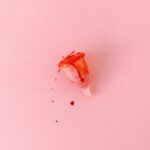 how long can a bed bug live without blood