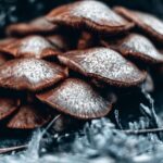 how long do shroom chocolates take to kick in