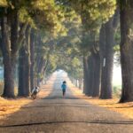 how long in miles is a 5k