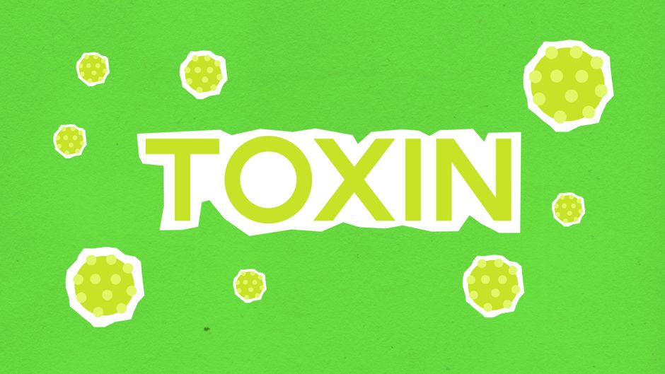 how long is the norovirus contagious