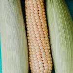 how long to cook corn on the cob boil