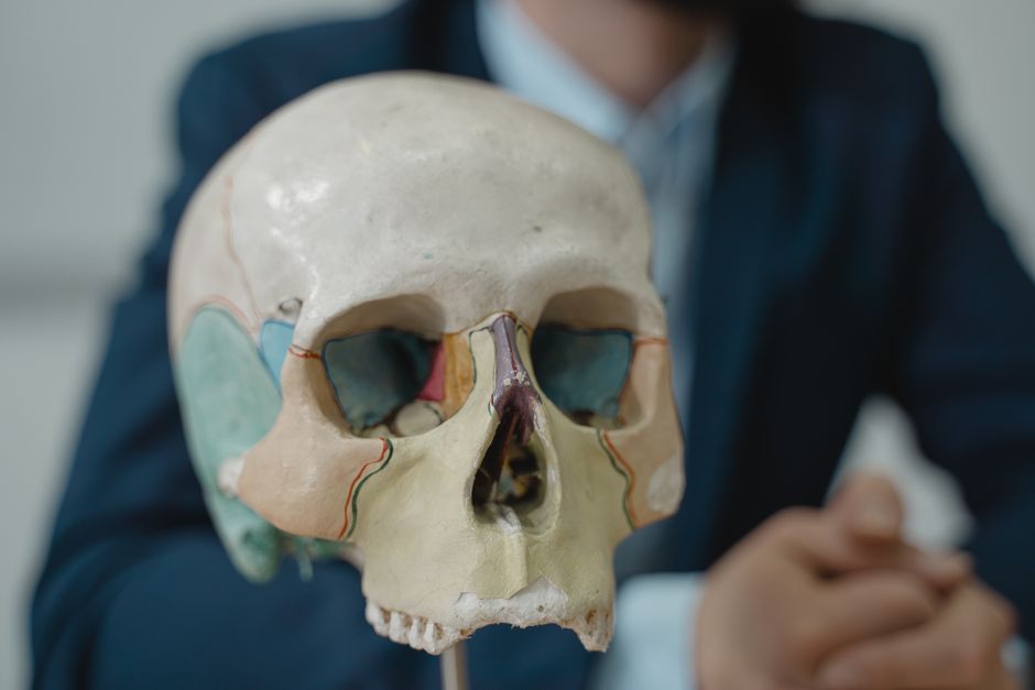how many bones in ear