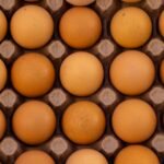 how many eggs does a chicken lay a day