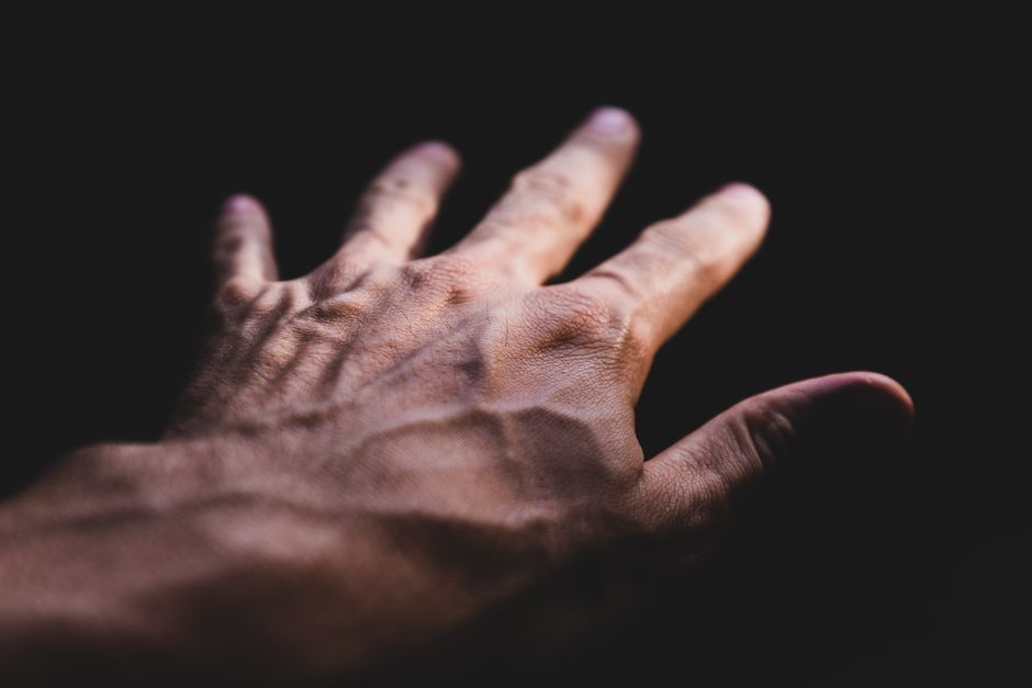 how many veins are in the human body