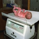 how much weight do newborns gain each week