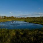 how to avoid swamp ass causes and prevention tips
