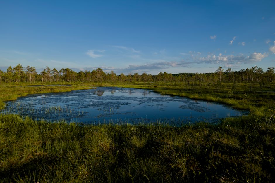 how to avoid swamp ass causes and prevention tips