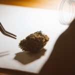 how to become a medical marijuana patient key steps