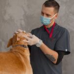 how to check for bed bug bites signs to watch for