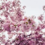 how to get rid of spring allergies what works