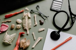 How To Get Your Eustachian Tubes Open? 4 how to get your eustachian tubes open