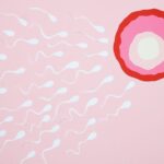 how to improve sperm health and male fertility