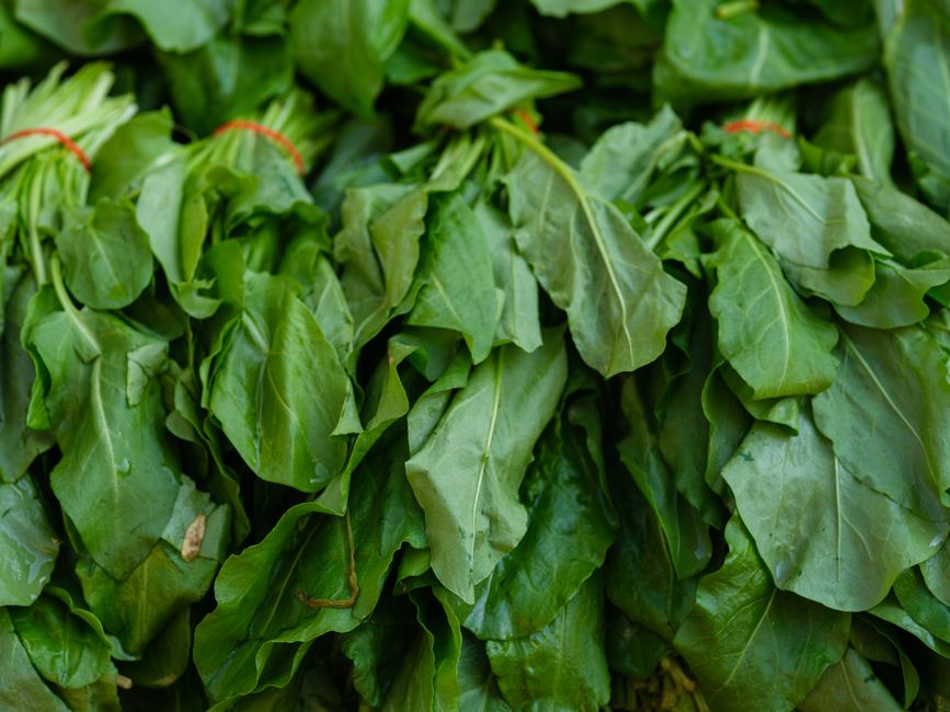 how to increase iron absorption naturally