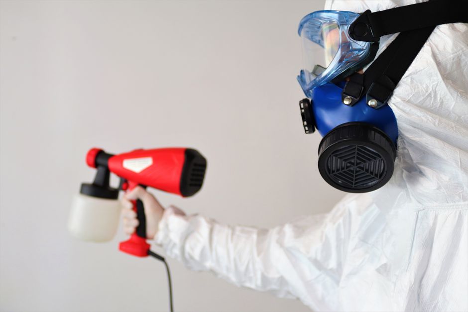 how to know if your house has mold