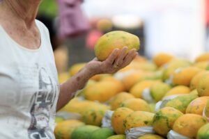how to know when mangoes are ripe