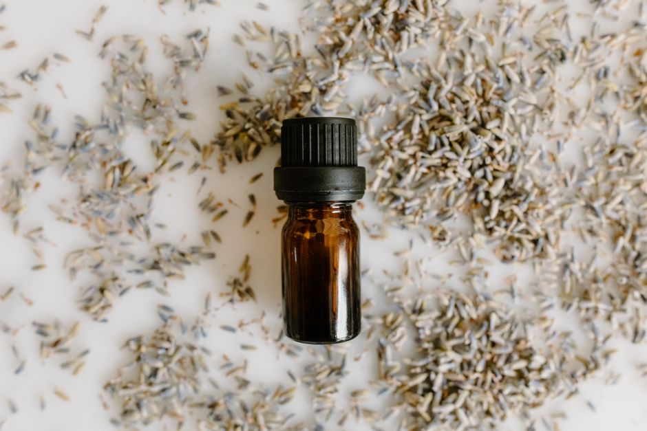 how to make seed oil press extract and refine