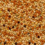 how to pop sorghum on the stove step by step