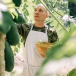 how to prepare a papaya pick peel and cut