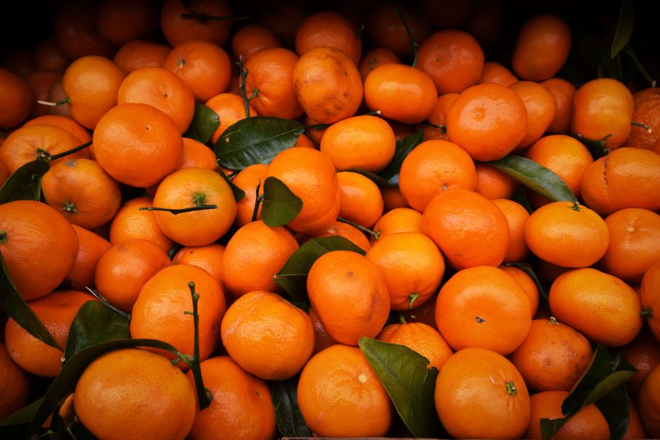 how to preserve mandarin oranges freeze can or dry