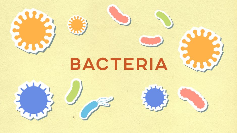 how to recover fast from a bacterial infection