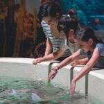 how to remove a stingray barb steps and risks