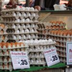how to sell your eggs pay process requirements