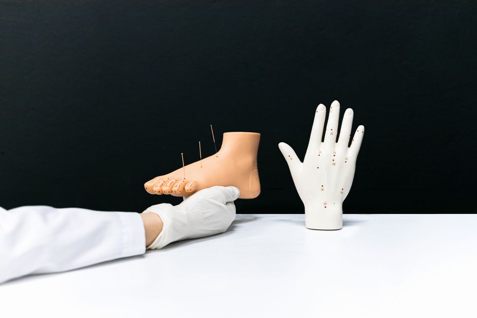 how to study acupuncture programs exams and licensing