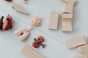How To Tell If Kidneys Are Failing? Step by Step 8 how to tell if kidneys are failing