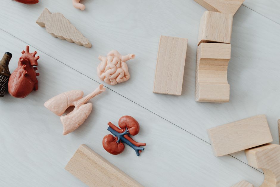 how to tell if kidneys are failing