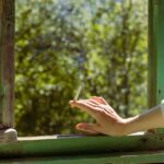 how to treat a mild burn cool clean and cover