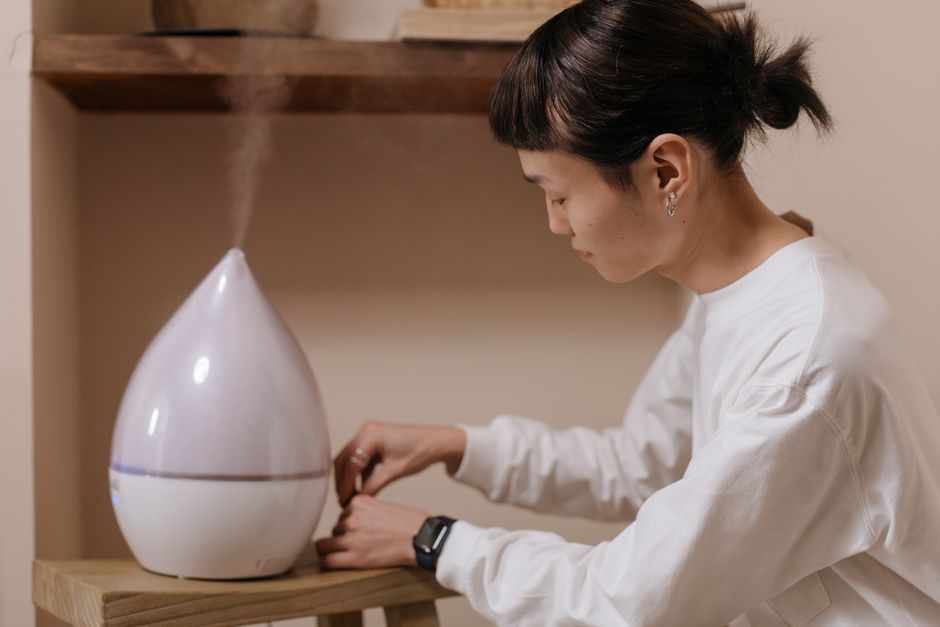 how to use a humidifier without causing mold