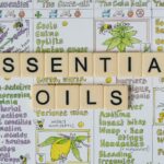 how to use essential oils to repel flies at home