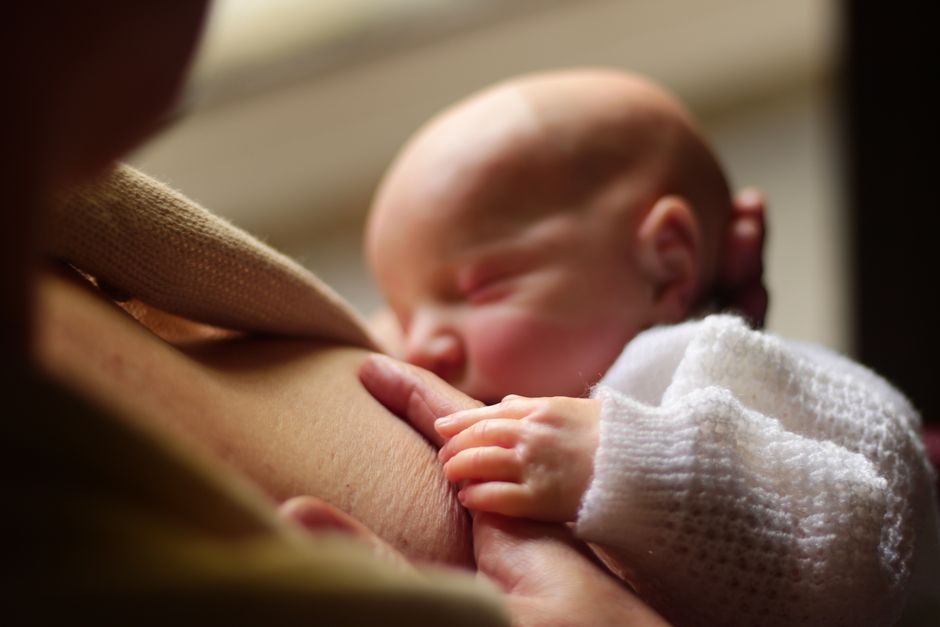 is breastmilk made from blood the science explained