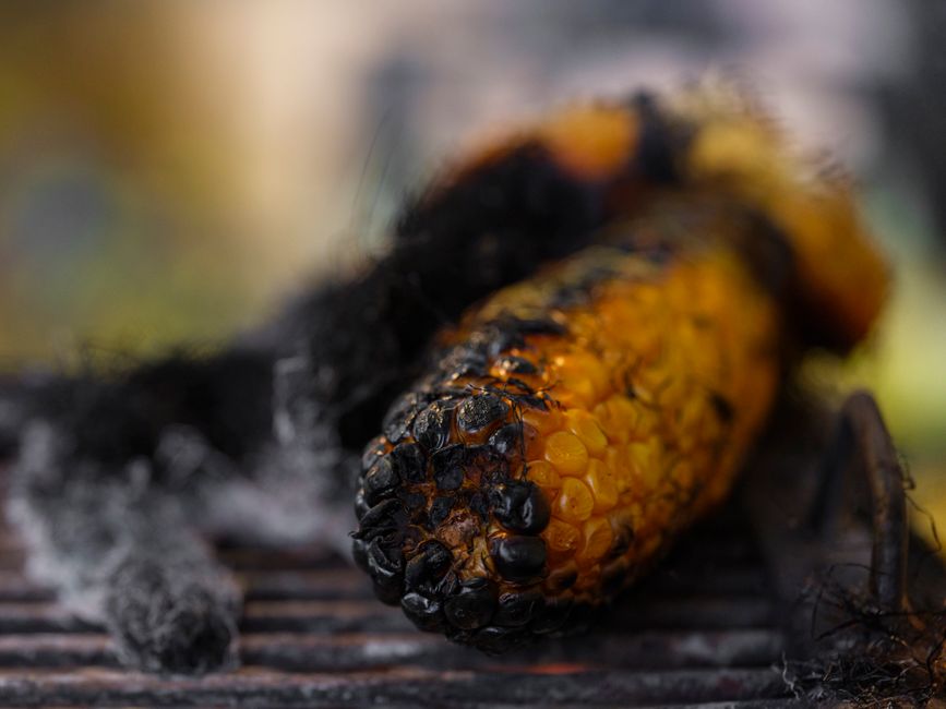 is burnt food carcinogenic