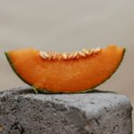is cantaloupe keto friendly