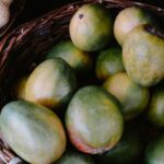 is mango a stone fruit