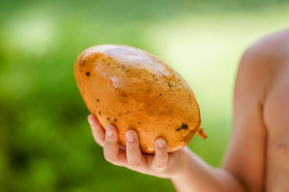 is mango skin edible