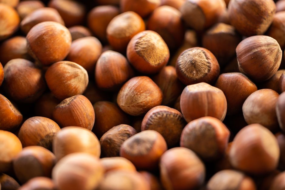 is nutella a good source of protein the facts