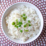 is rice easy to digest