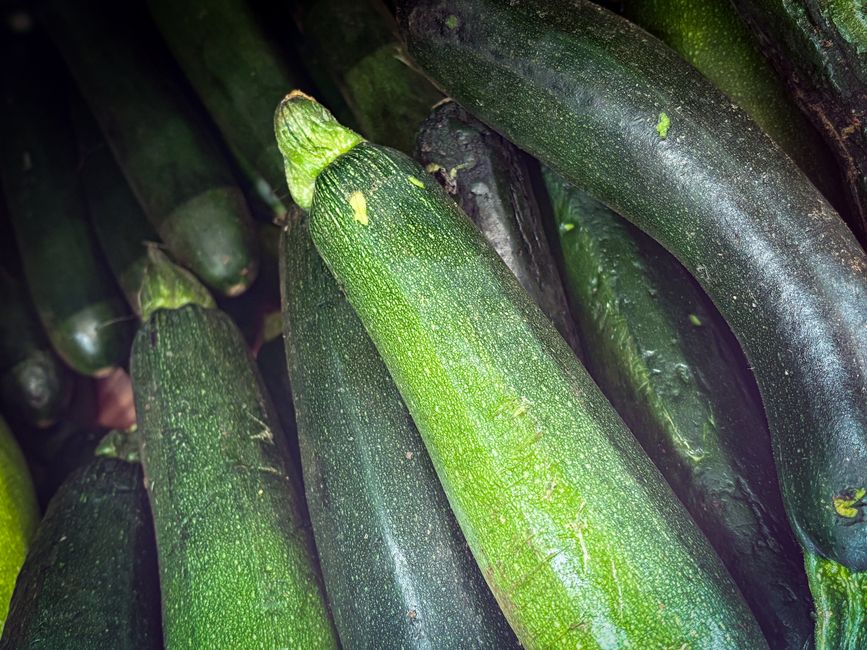 is zucchini healthy for you