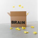 part of the brain causes anxiety