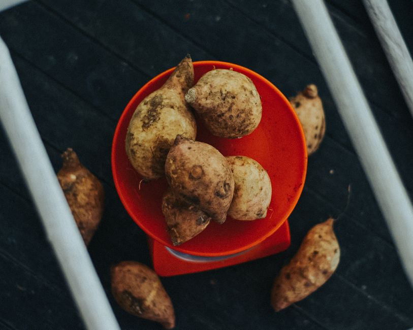 sweet potatoes hard to digest